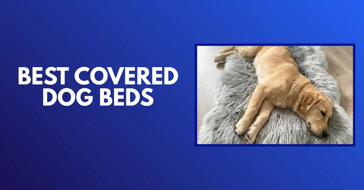 best covered dog bed