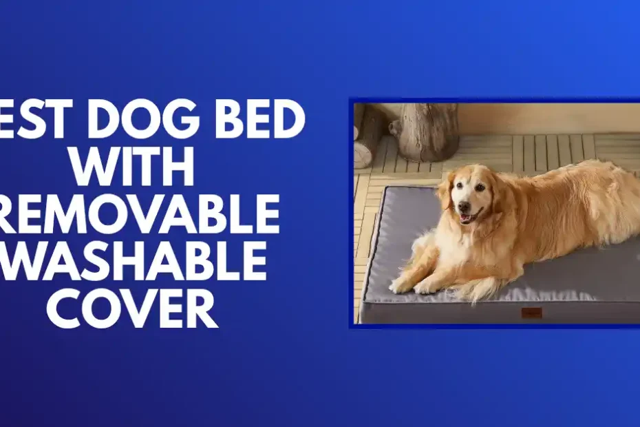 best dog bed with removable washable cover