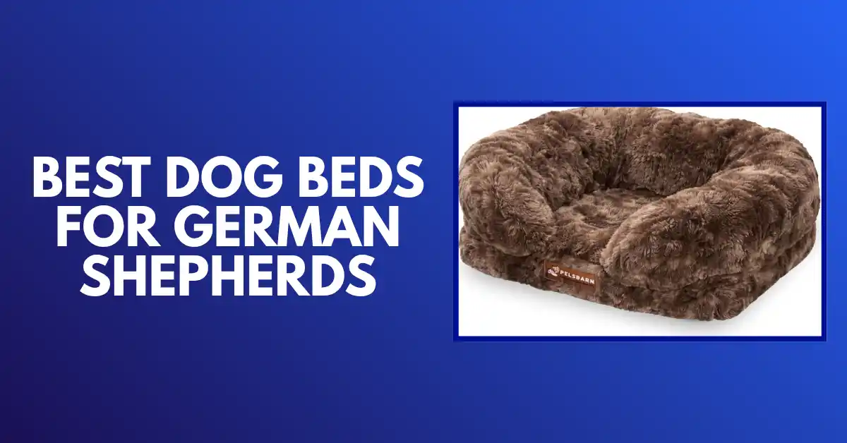 best dog beds for german shepherds
