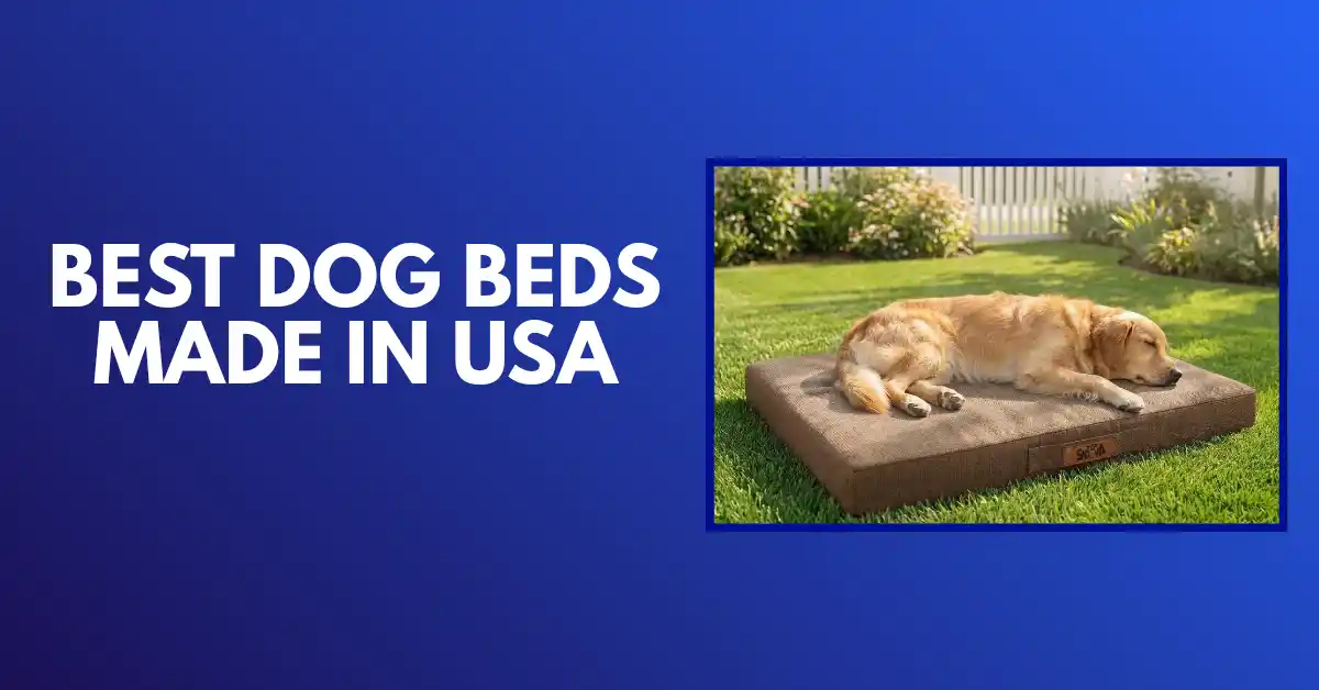best dog beds made in usa