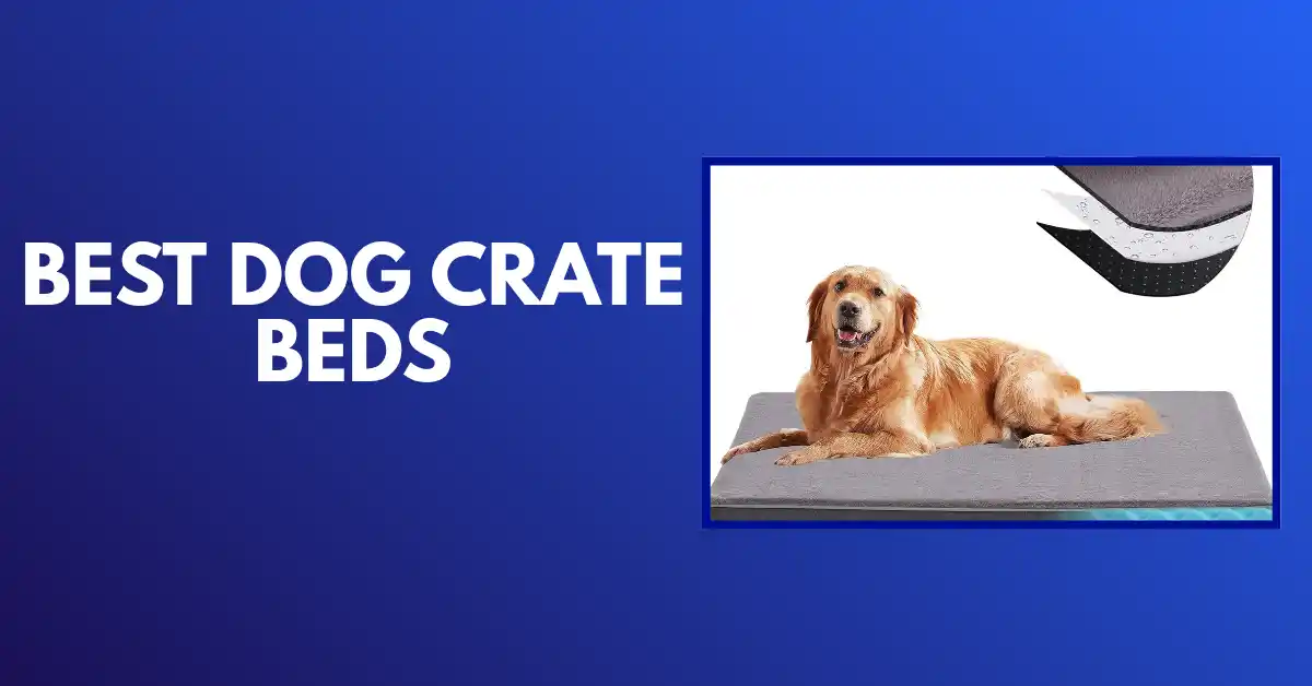 best dog crate beds