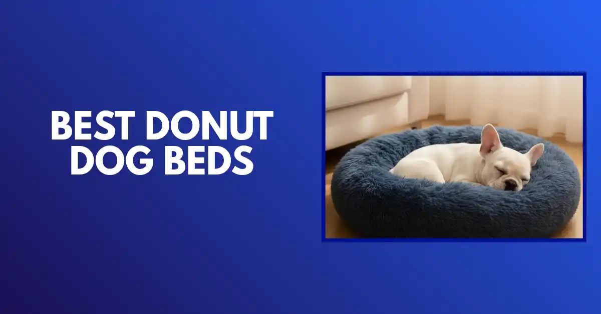 best donut dog bed