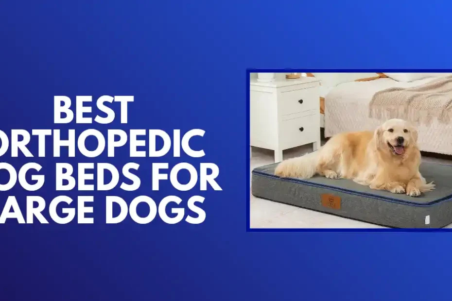best orthopedic dog beds for large dogs