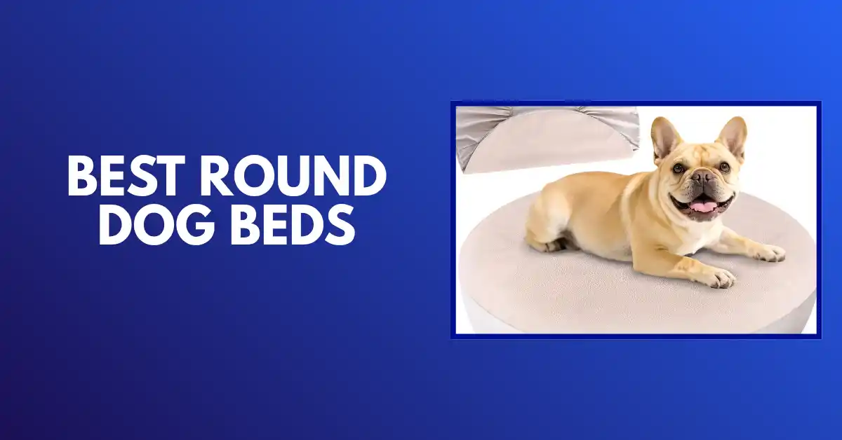 best round dog beds