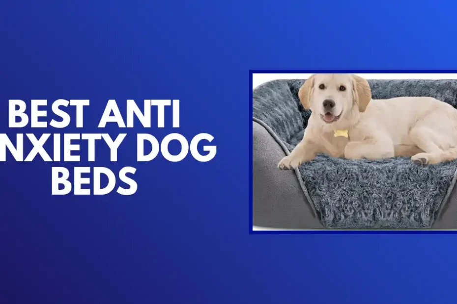 best anti anxiety dog bed