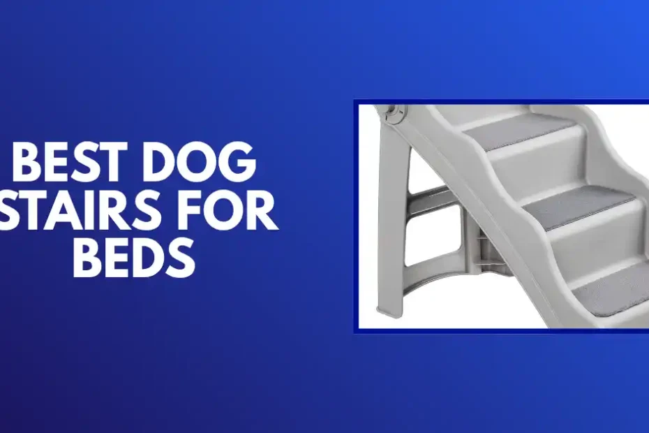 best dog stairs for bed