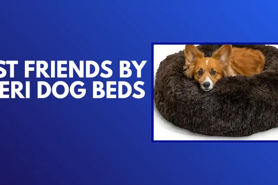 best friends by sheri dog beds